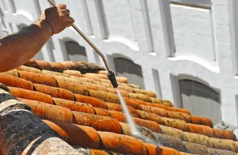 Nettoyage de toitures - Taponas